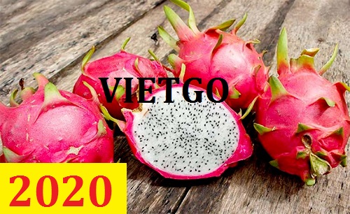 Cơ hội giao thương – Đơn hàng Cả Năm - Cơ hội xuất khẩu Quả Thanh Long sang thị trường Bangladesh