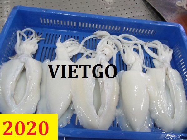 Cơ hội giao thương – Đơn hàng Cả Năm – Vị khách hàng người Hàn Quốc cần nhập khẩu thử 1 container Cá Mực tại Việt Nam