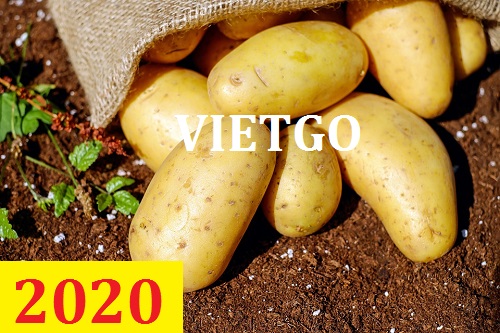 Cơ hội giao thương – Đơn hàng Cả Năm - Cơ hội xuất khẩu Khoai Tây sang thị trường Tanzania