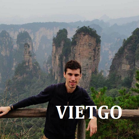 Cơ hội giao thương - Cần tìm nhà cung cấp Gỗ dán thương mại sang Ý