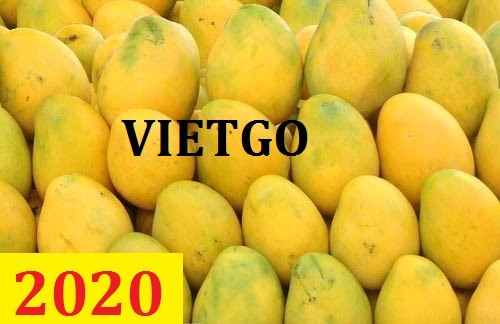 Cơ hội giao thương – Đơn hàng Cả Năm - Cơ hội xuất khẩu Quả Xoài sang thị trường Trung Quốc