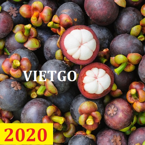 Cơ hội giao thương – Đơn hàng Cả Năm - Cơ hội xuất khẩu Quả Măng Cụt sang thị trường Trung Quốc