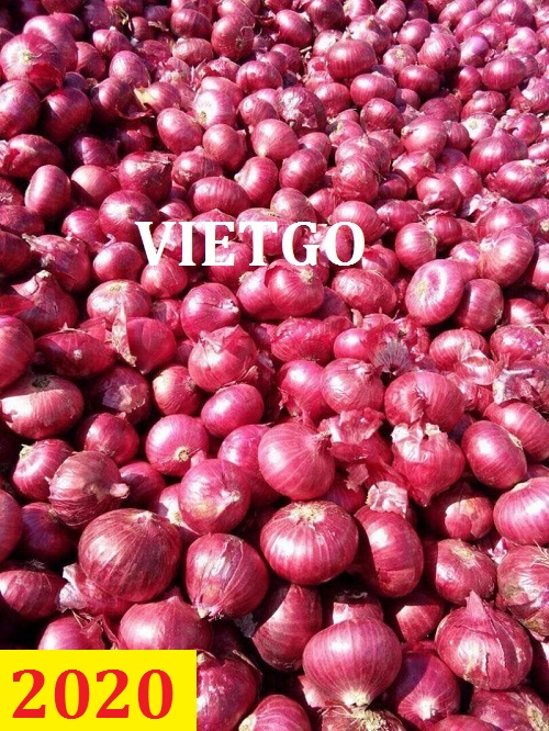 Cơ hội giao thương – Đơn hàng thường xuyên - Cơ hội xuất khẩu hành tím sang thị trường Ấn Độ.
