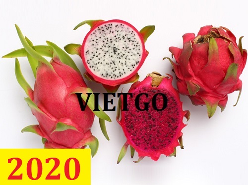 Cơ hội giao thương – Đơn hàng Cả Năm - Cơ hội xuất khẩu Thanh Long sang thị trường Mỹ