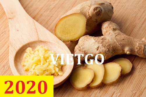 Cơ hội giao thương – Đơn hàng Cả Năm - Cơ hội xuất khẩu Gừng Tươi sang thị trường Pakistan
