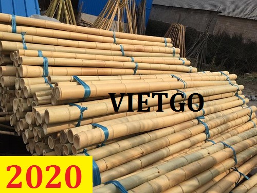 Cơ hội giao thương – Đơn hàng Cả Năm – Cơ hội xuất khẩu Gậy tre sang thị trường Ả Rập Saudi