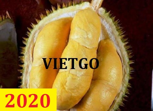 Cơ hội giao thương – Đơn hàng Cả Năm - Cơ hội xuất khẩu Quả Sầu Riêng sang thị trường Trung Quốc