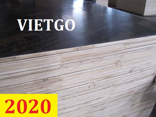 Cơ hội giao thương – Đơn hàng thường xuyên - Cơ hội xuất khẩu Gỗ dán phủ phim đến từ vị khách hàng người Đài Loan