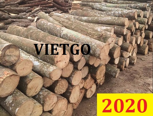 Cơ hội giao thương đặc biệt  – Đơn hàng thường xuyên - Cơ hội xuất khẩu gỗ keo/teak tròn sang Ấn Độ