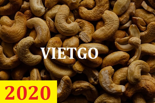 Cơ hội giao thương – Đơn hàng Cả Năm - Cơ hội xuất khẩu Hạt Điều sang thị trường Ấn Độ