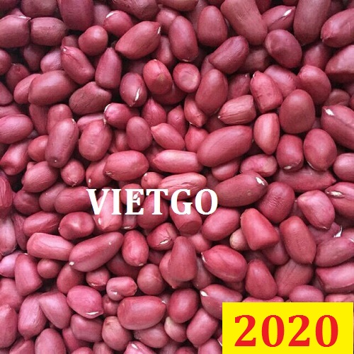 Cơ hội giao thương Đặc Biệt – Đơn hàng Cả Năm - Cơ hội xuất khẩu Lạc Nhân sang thị trường Dubai