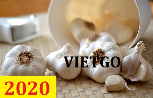 Cơ hội giao thương – Đơn hàng Cả Năm - Cơ hội xuất khẩu Tỏi Trắng sang thị trường Brazil