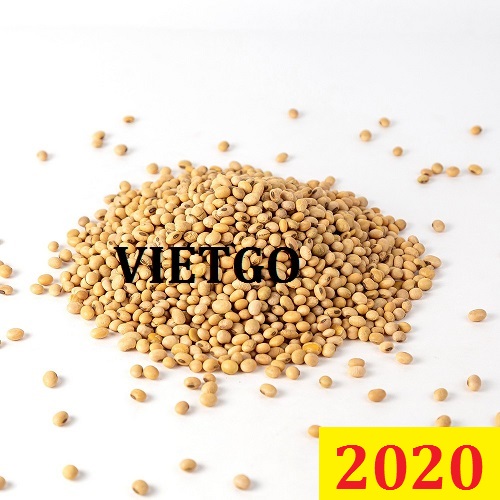 Cơ hội giao thương Đặc Biệt – Đơn hàng Cả Năm - Cơ hội xuất khẩu Đậu Nành sang thị trường Ấn Độ