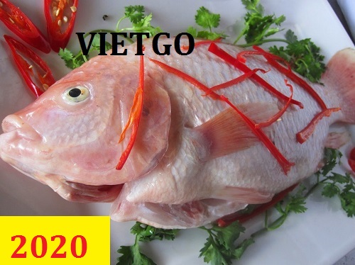 Cơ hội giao thương – Đơn hàng Cả Năm – Cơ hội xuất khẩu 1 container 40 ft Cá rô phi đỏ (Cá diêu hồng) sang Cộng hòa Dominica