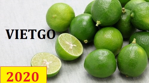Cơ hội giao thương – Đơn hàng Cả Năm - Cơ hội xuất khẩu Chanh Xanh sang thị trường Dubai