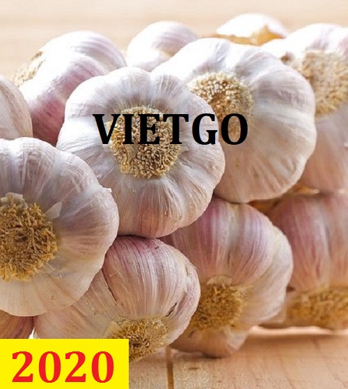 Cơ hội giao thương – Đơn hàng đặc biệt thường xuyên - Cơ hội xuất khẩu tỏi trắng sang thị trường Bangladesh