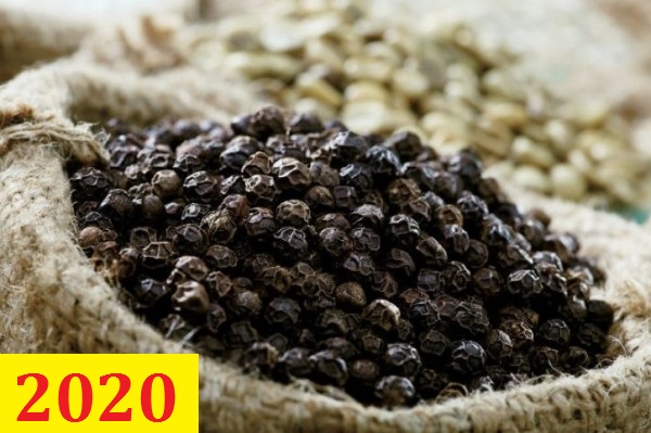 Cơ hội giao thương – Đơn hàng Cả Năm - Cơ hội xuất khẩu Hạt Tiêu sang thị trường Ấn Độ
