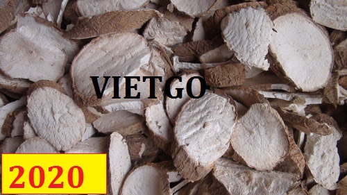 Cơ hội giao thương – Đơn hàng Cả Năm - Cơ hội xuất khẩu Sắn Lát sang thị trường Trung Quốc