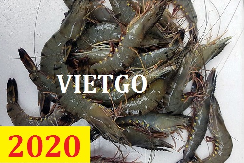 Cơ hội giao thương – Đơn hàng Cả Năm – Cơ hội xuất khẩu TÔM SÚ thị trường Trung Quốc