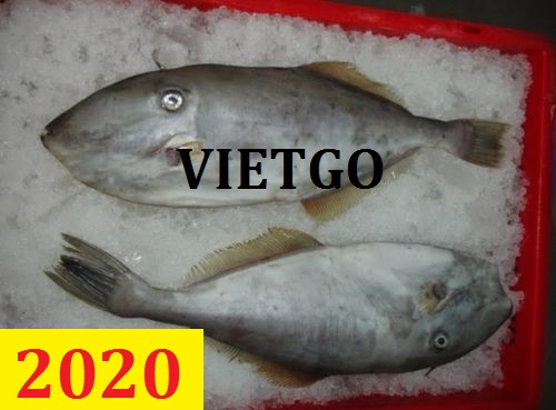 Cơ hội giao thương – Đơn hàng Cả Năm – Cơ hội xuất khẩu CÁ DA BÒ thị trường Trung Quốc