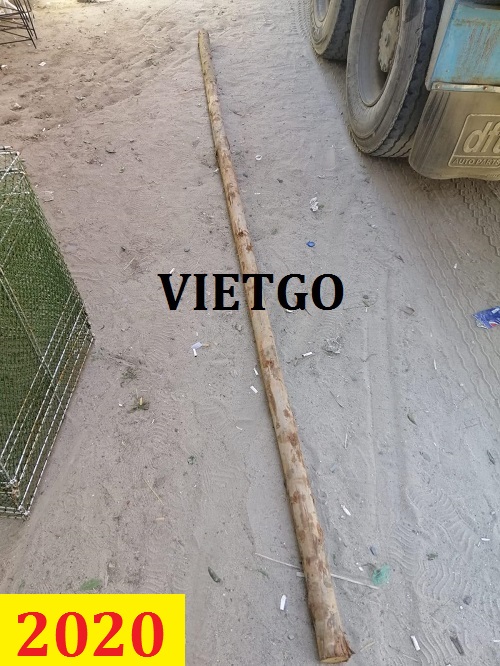 Cơ hội giao thương – Đơn hàng thường xuyên - Cần tìm nhà cung cấp Gỗ bạch đàn tròn sang thị trường KUWAIT