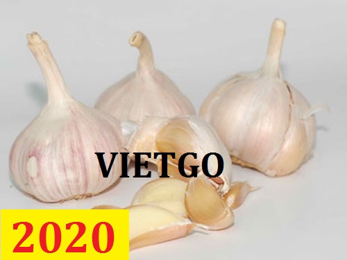 Cơ hội giao thương – Đơn hàng thường xuyên - Cơ hội xuất khẩu tỏi trắng sang thị trường Sri Lanka.