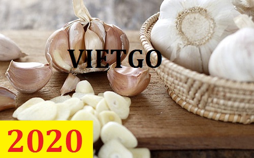 Cơ hội giao thương – Đơn hàng Cả Năm - Cơ hội xuất khẩu Tỏi Trắng sang thị trường Bangladesh