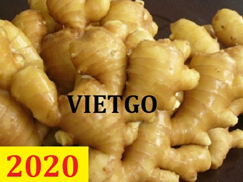 Cơ hội giao thương – Đơn hàng thường xuyên - Cơ hội xuất khẩu gừng tươi sang thị trường Uzbekistan.