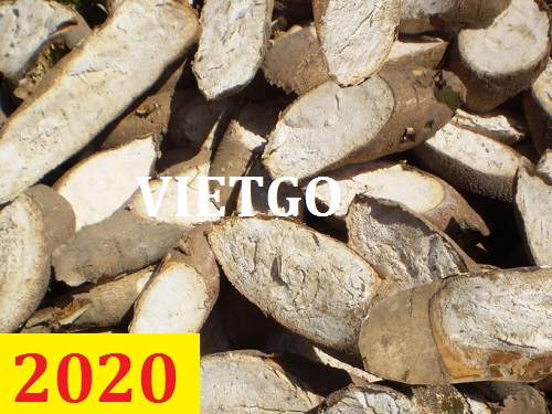 Cơ hội giao thương – Đơn hàng Cả Năm - Cơ hội xuất khẩu Sắn Lát sang thị trường Hàn Quốc