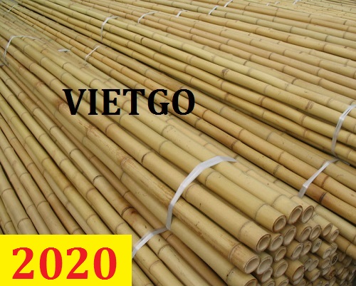 Cơ hội giao thương – Đơn hàng Cả Năm – Cơ hội xuất khẩu Gậy tre sang thị trường Châu Âu