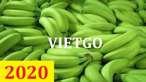 Cơ hội giao thương – Đơn hàng Cả Năm - Cơ hội xuất khẩu Quả Chuối sang thị trường Tây Ban Nha và Maldives