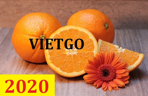 Cơ hội giao thương – Đơn hàng Cả Năm - Cơ hội xuất khẩu Quả Cam sang thị trường Tây Ban Nha và Maldives
