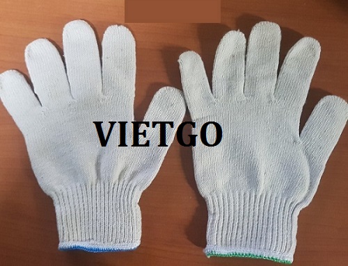 Cơ hội giao thương Đặc biệt – Đơn hàng Gấp – Cơ hội xuất khẩu găng tay lao động mỗi tháng đến thị trường Hàn Quốc