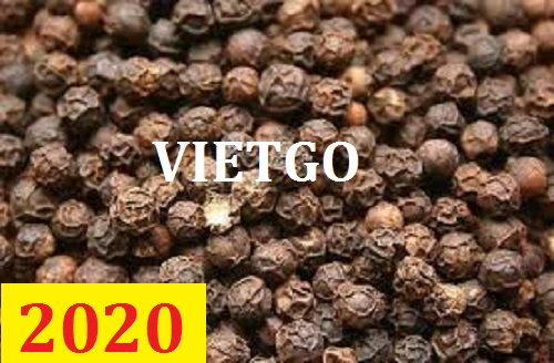 Cơ hội giao thương – Đơn hàng thường xuyên - Cơ hội xuất khẩu hạt tiêu sang thị trường Ả Rập Xê Út.