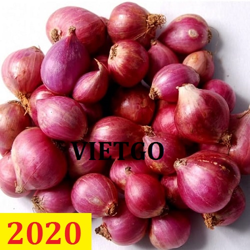Cơ hội giao thương – Đơn hàng thường xuyên - Cơ hội xuất khẩu hành tím sang thị trường Sri Lanka.