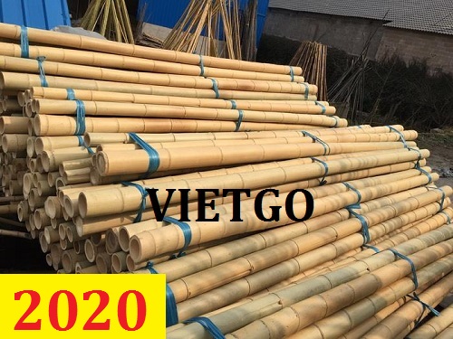 Cơ hội giao thương – Đơn hàng Cả Năm – Cơ hội xuất khẩu Gậy tre cho thương nhân UAE