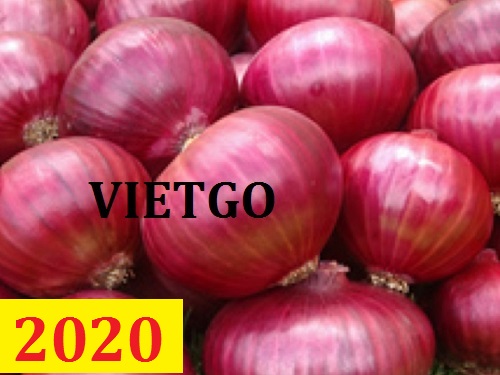 Cơ hội giao thương – Đơn hàng thường xuyên - Cơ hội xuất khẩu hành tím sang thị trường Bangladesh.