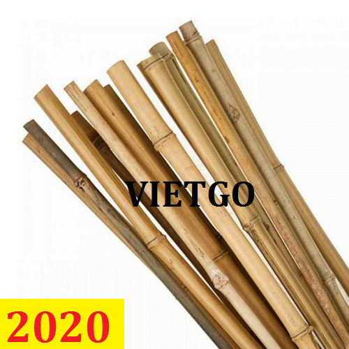 Cơ hội giao thương – Đơn hàng Cả Năm – Cơ hội xuất khẩu Gậy tre sang thị trường Úc vô cùng tiềm năng