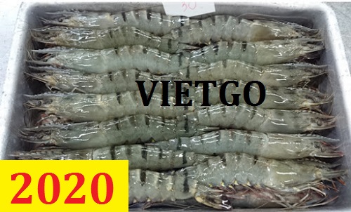 Cơ hội giao thương – Đơn hàng Cả Năm – Cơ hội xuất khẩu Tôm sú sang thị trường Trung Quốc
