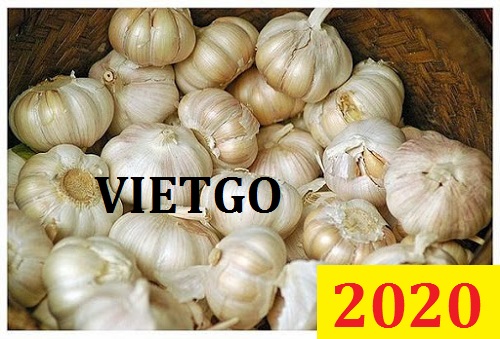 Cơ hội giao thương Đặc Biệt – Đơn hàng Cả Năm - Cơ hội xuất khẩu Tỏi Trắng sang thị trường Nepal