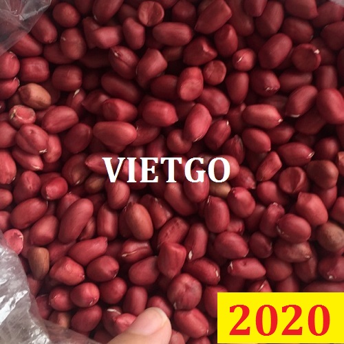 Cơ hội giao thương Đặc Biệt – Đơn hàng Cả Năm - Cơ hội xuất khẩu Lạc Nhân sang thị trường Nga