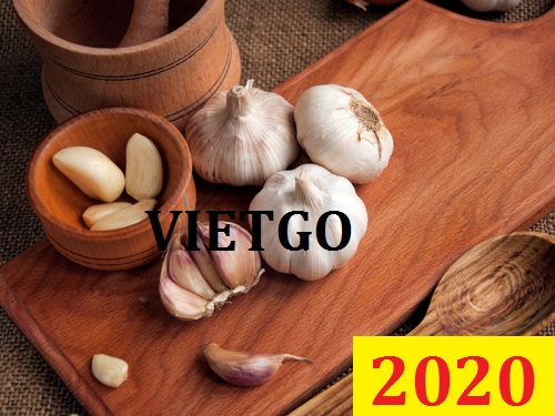 Cơ hội giao thương Đặc Biệt – Đơn hàng Cả Năm - Cơ hội xuất khẩu Tỏi Trắng sang thị trường Bangladesh
