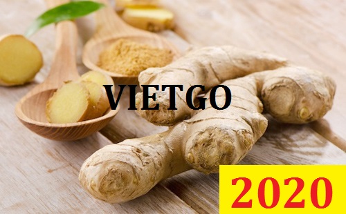 Cơ hội giao thương Đặc Biệt – Đơn hàng Cả Năm - Cơ hội xuất khẩu Gừng Tươi sang thị trường Bangladesh