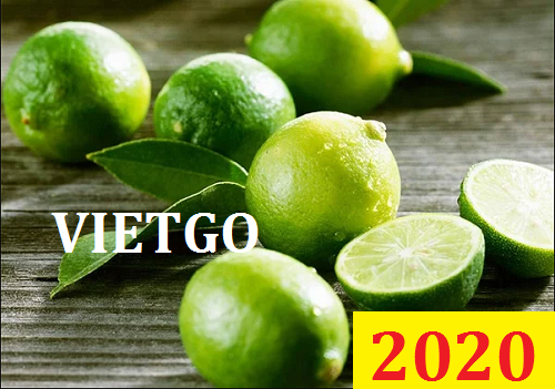 Cơ hội giao thương Đặc Biệt – Đơn hàng Cả Năm - Cơ hội xuất khẩu Chanh Xanh sang thị trường Dubai