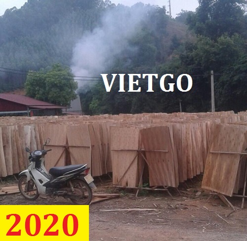Cơ hội giao thương: Đơn hàng thường xuyên: Cơ hội xuất khẩu Ván bóc bạch đàn sang Ấn Độ
