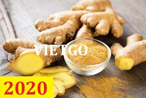 Cơ hội giao thương – Đơn hàng Cả Năm - Cơ hội xuất khẩu Gừng Tươi sang thị trường UAE