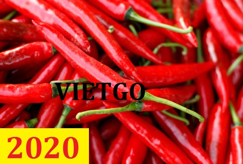 Cơ hội giao thương – Đơn hàng Cả Năm - Cơ hội xuất khẩu Ớt Tươi sang thị trường Ấn Độ