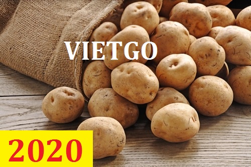 Cơ hội giao thương – Đơn hàng Cả Năm - Cơ hội xuất khẩu Khoai Tây sang thị trường Ấn Độ