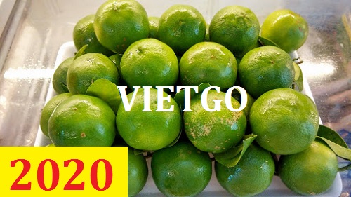 Cơ hội giao thương – Đơn hàng Cả Năm - Cơ hội xuất khẩu Chanh Xanh sang thị trường Maldives
