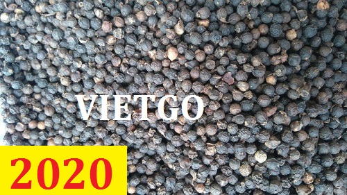 Cơ hội giao thương – Đơn hàng thường xuyên - Cơ hội xuất khẩu hạt tiêu sang thị trường Ấn Độ.